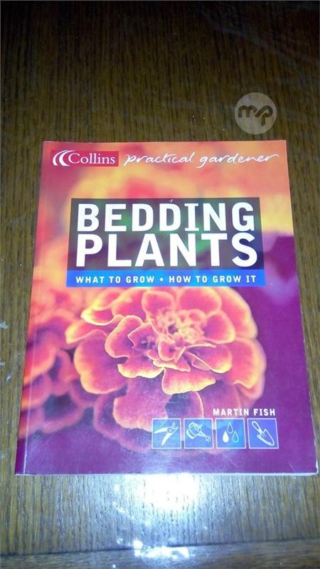 Bedding Plants Maltapark - 