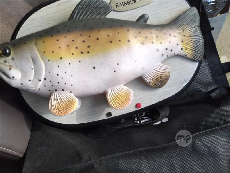 Rainbow Trout Singing Fish – No Batteries, Untested - Bodnarus